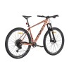 Bicicleta Rali ADV0 Carbono